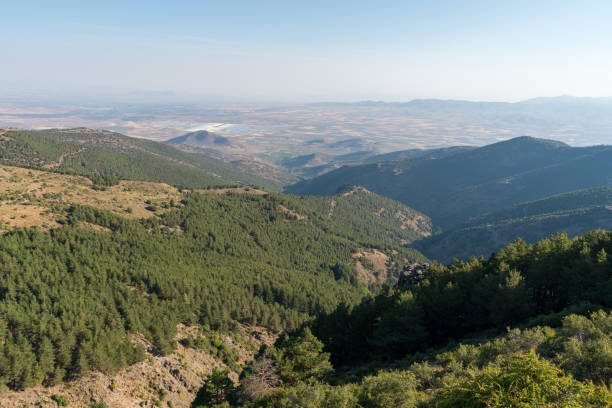 région montagneuse de la sierra nevada dans le sud de l’espagne - grenade pin photos et images de collection