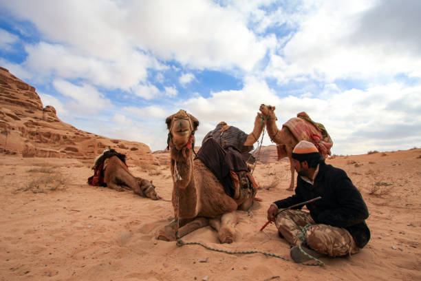 beduinenkarawane in der wüste von wadi rum in jordanien - jordan camel wadi rum arabia stock-fotos und bilder