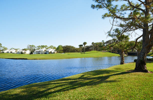 Lake in residential district, Florida, USA stock photo