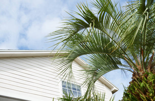 istock Residential building and palm tree at the backyard 1294844385