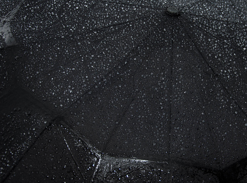 Black umbrella covered with rain drops. Quality image for your project