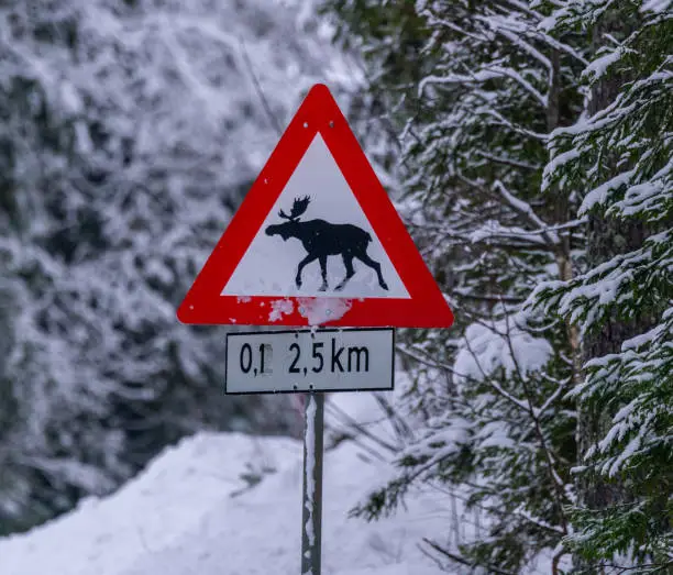 Photo of Crossing moose warning sign on the side of a road in the midst of  a snowy winter.