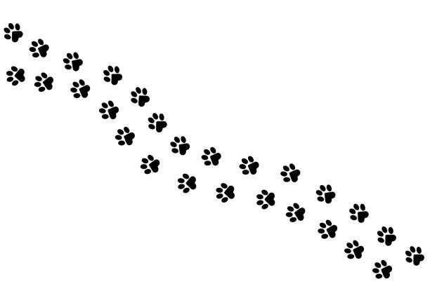istock Paws of a cat, dog, puppy. Simple animal footprint pattern for bedding, fabrics, backgrounds, websites, postcards, baby prints, brown paper. Vector illustration. 1294849406
