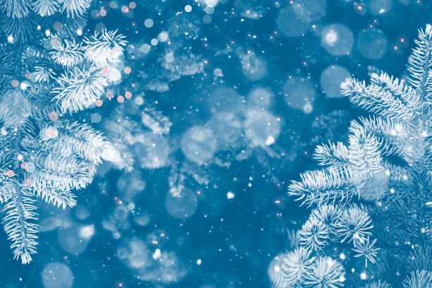 istock winter forest with snow covered trees. outdoor 1294850072
