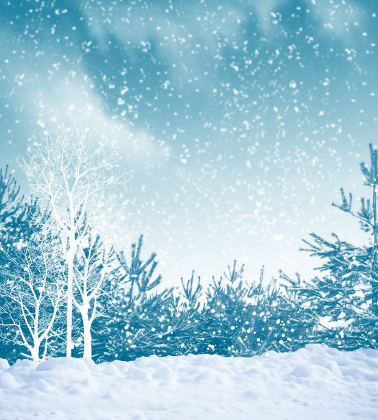 istock winter forest with snow covered trees. outdoor 1294850250
