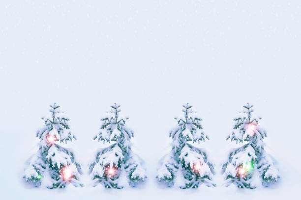 istock winter forest with snow covered trees. outdoor 1294850370