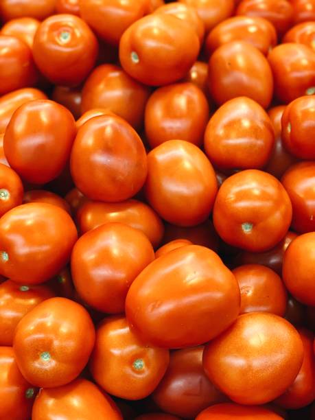 istock Ripe tomatoes harvest close up 1294852260