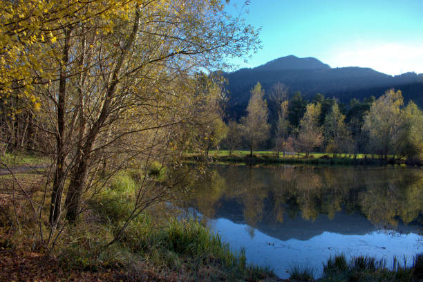 istock Landscape in Balzers in Liechtenstein 17.11.2020 1294852671