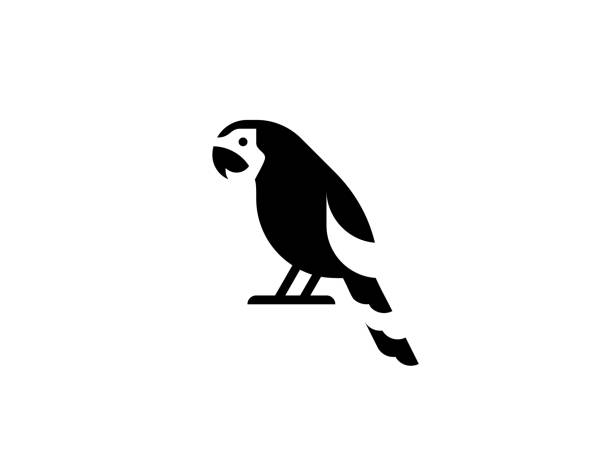 ilustraciones, imágenes clip art, dibujos animados e iconos de stock de icono vectorial del loro. aislado ara chloropterus, guacamayo pájaro símbolo plano - loro