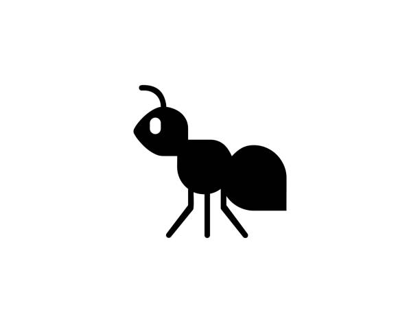 ant ベクター アイコン。孤立したアリの昆虫の平らなシンボル - アリ点のイラスト素材／クリップアート素材／マンガ素材／アイコン素材