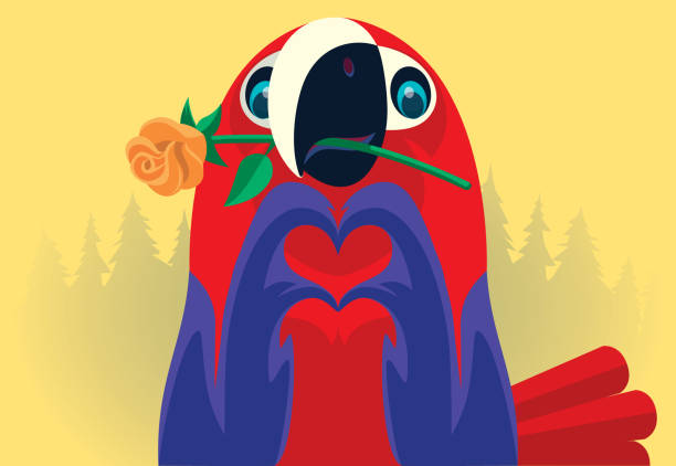 parrot holding flower and gesturing heart shape vector illustration of parrot holding flower and gesturing heart shape doing a favor stock illustrations