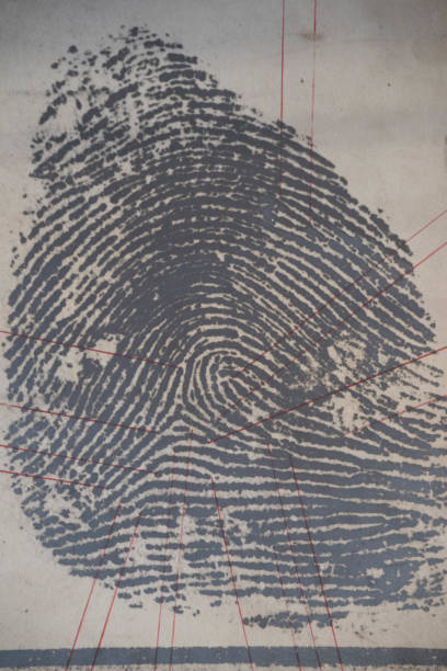 istock enlarged and printed out fingerprint in forensics 1294856503