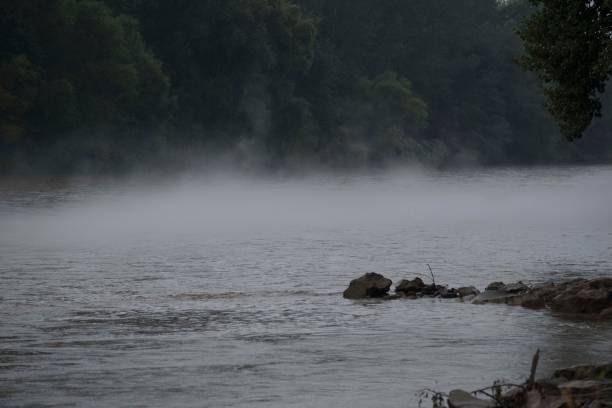 fog in autumn at a grey river and forest landscape