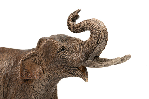 Isolated on white elephant with clipping path