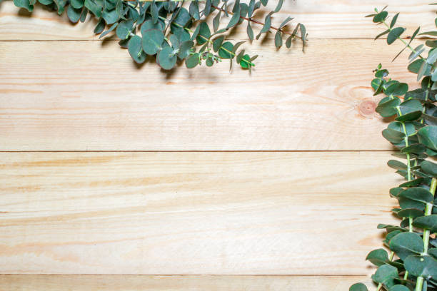 istock wooden background with flowers and secateurs 1294862380