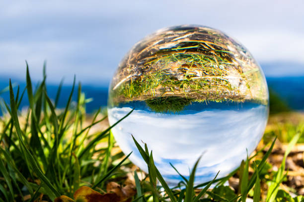istock Glass ball on the garden 1294866567