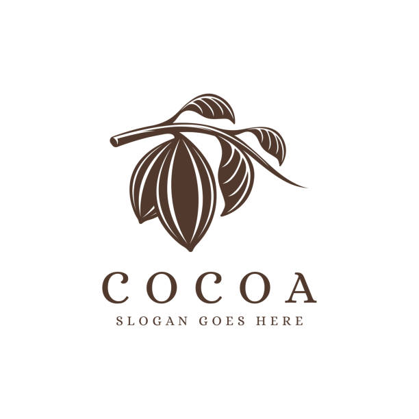 Lineart cocoa branch, cocoa bean, cocoa plant icon vector template on white background Lineart cocoa branch, cocoa bean, cocoa plant icon vector template on white background cocoa bean stock illustrations
