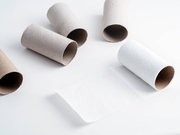 istock Finished Toilet paper rolls on white background 1294868343