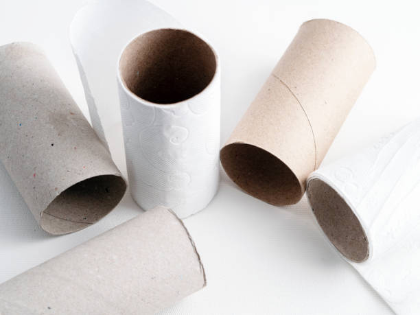 istock Finished Toilet paper rolls on white background 1294869375