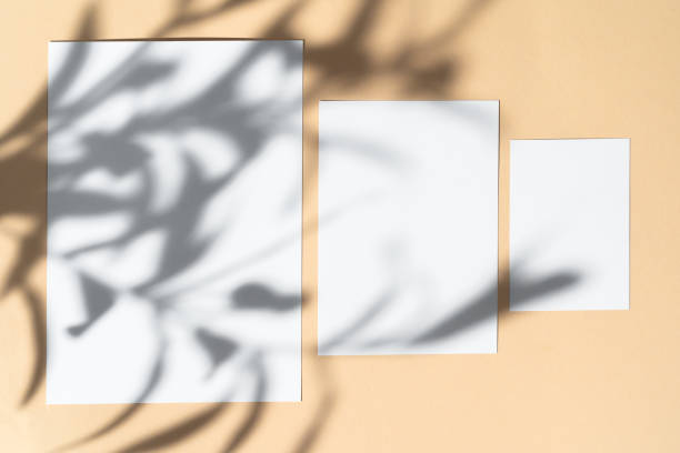 istock Blank white businesscard on beige background with creative floral shadow 1294871017