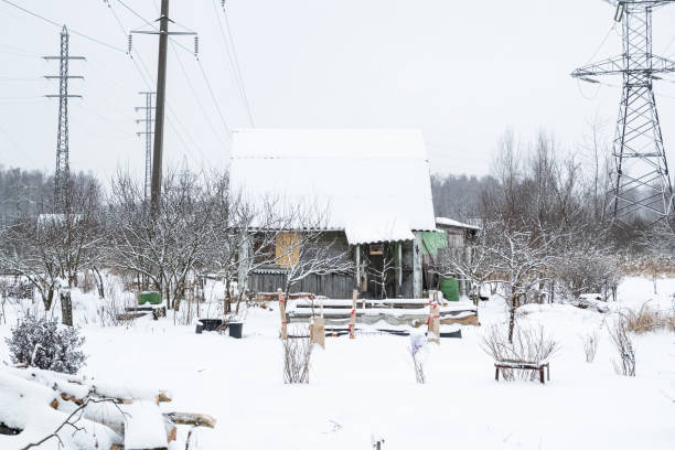 겨울철에 오래된 목조 주택이 있는 눈 덮인 시골 부지 - shed cottage hut barn 뉴스 사진 이미지