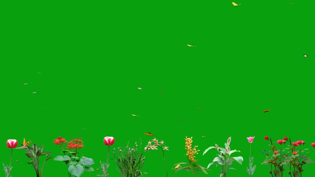 Fluttering butterflies on flowering plants green screen motion graphics