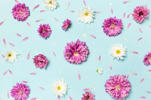 istock Pattern made of colorful flowers on pastel blue background 1294878889