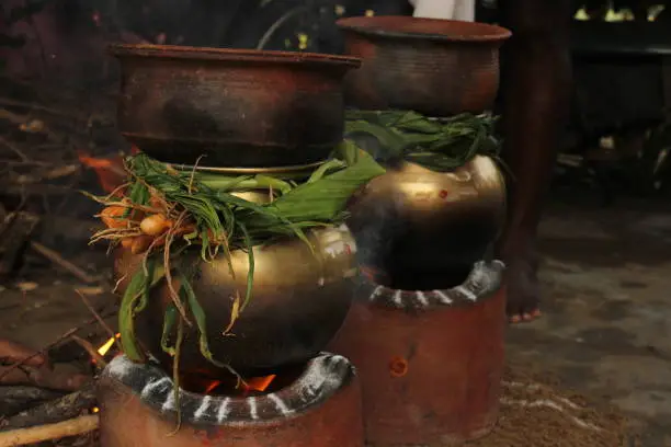 celebrating Traditional Thai Pongal festival to sun god with pot, lamp,wood fire stove, fruits and sugarcane. Making Sakkarai / sugar pongal and ven pongal in sand stove in traditional method.