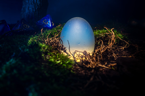 Close-up rpg scene of a white opaque egg in a nest of moss, dirt and roots. With in the background three 8 sided dice.