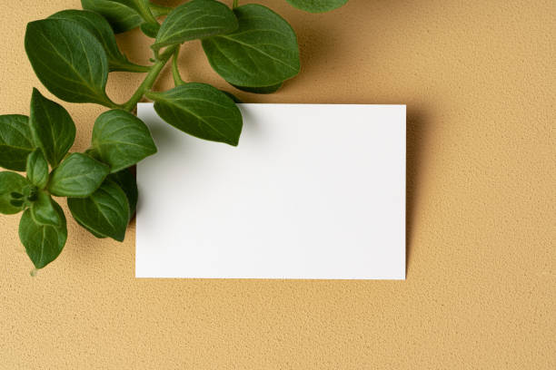 istock Blank white business card with copy space for your design 1294885718