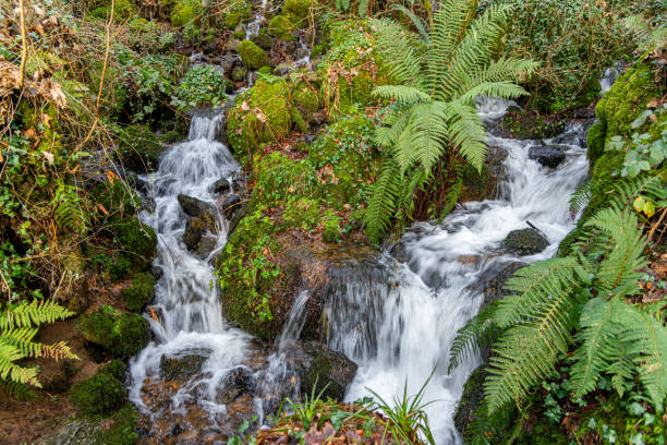 Waterfalls in Cornwall in Winter