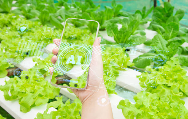 istock smart farmer holding smartphone,farm background,concept agricultural product control with artificial intelligence or AI technology,agriculture future market,tracking production by smart agriculture 1294890263
