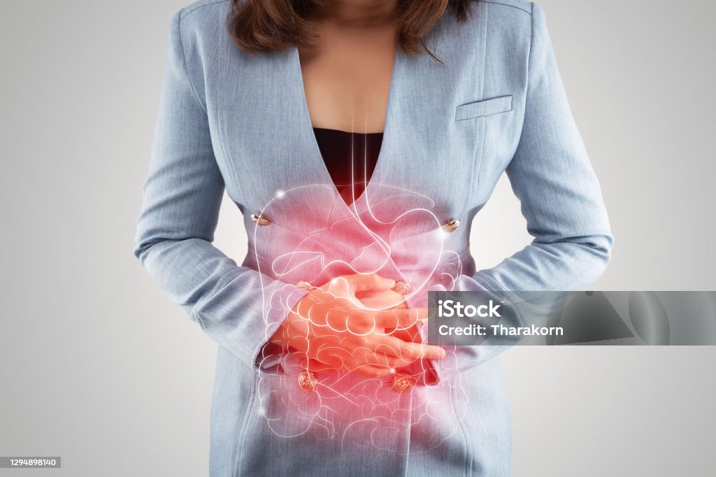 Business Woman touching stomach painful suffering from enteritis Illustration of internal organs is on the woman's body against the gray background. Business Woman touching stomach painful suffering from enteritis. internal organs of the human body. Intestine Stock Photo