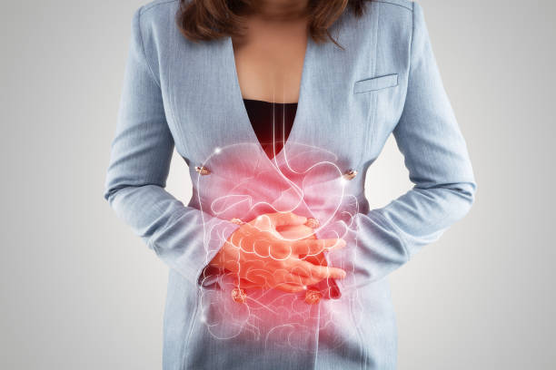Business Woman touching stomach painful suffering from enteritis Illustration of internal organs is on the woman's body against the gray background. Business Woman touching stomach painful suffering from enteritis. internal organs of the human body. intestine stock pictures, royalty-free photos & images