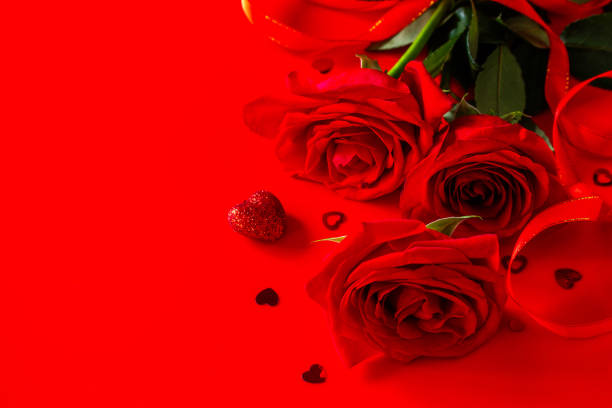 rosas vermelhas e decoração em forma de coração em um fundo vermelho. copie o espaço. - 24239 - fotografias e filmes do acervo