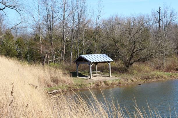 istock Wood Shelter at the Lake 1294898279