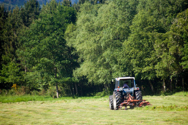 Driving a tractor on agricultural field, , collecting grass, rear view, copy space available .  Lugo province, Galicia, Spain.