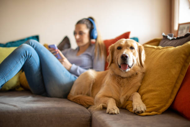 istock Young woman enjoying with her dog 1294900250