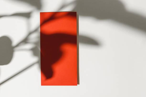 istock Foliage shadow on paper background with business card 1294902321