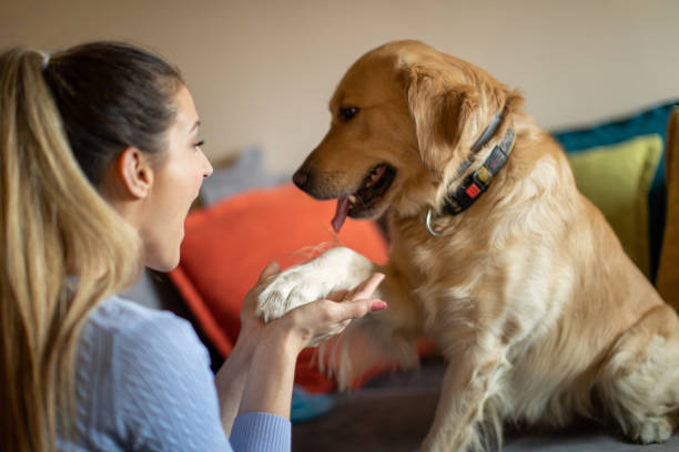 istock Young woman enjoying with her dog 1294904194