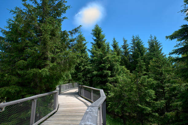 istock Jeseniky mountains in czech republic 1294911031