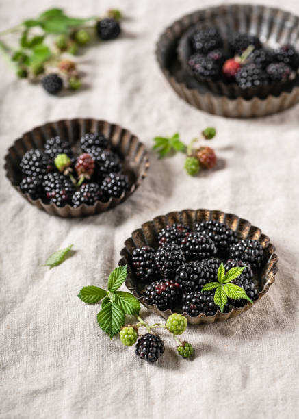istock Ripe blackberries with leaves in rustic tart baking pans on a nature linen tablecloth. 1294911217