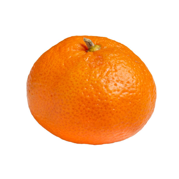 istock Ripe mandarin fruit isolated on white background. Side view. No shadow. 1294911567