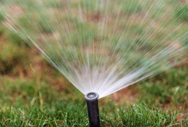 istock Sprinkler for automatic watering during lawn moistening 1294912499