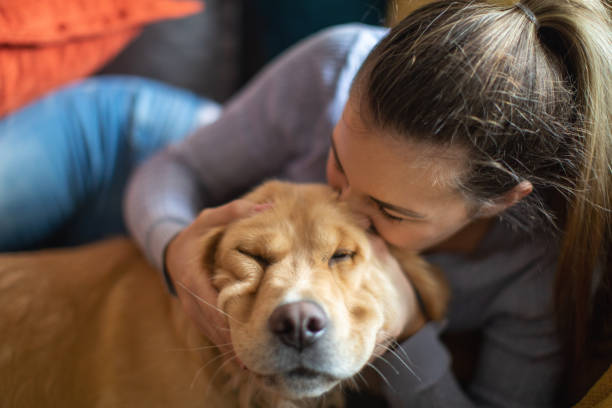 istock Young woman enjoying with her dog 1294913403