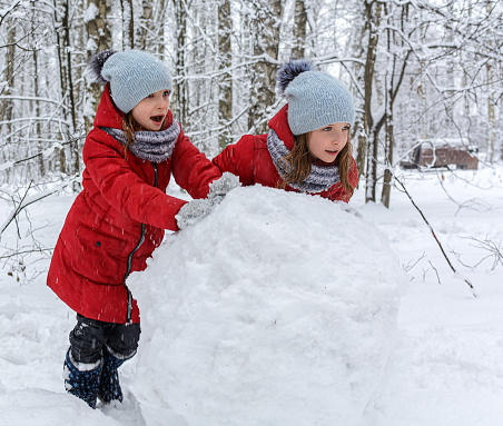 Two twin girls in red jackets rolling huge snowball to make snowman in a snowy forest