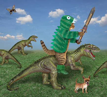 A cat in green dragon clothing and boots with a sword rides rex in the grass field.