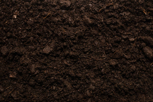 istock Black land for plant background. 1294917944