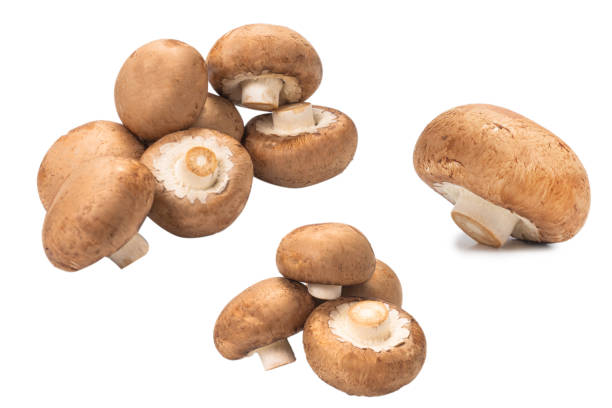 istock Tasty mushroom isolated on white background. 1294918133