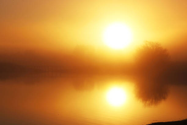 istock Foggy morning in novenmber. 1294928042